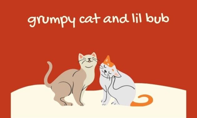 grumpy cat and lil bub