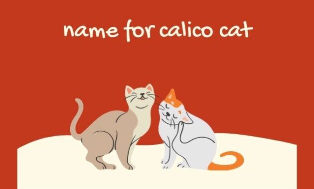 name for calico cat