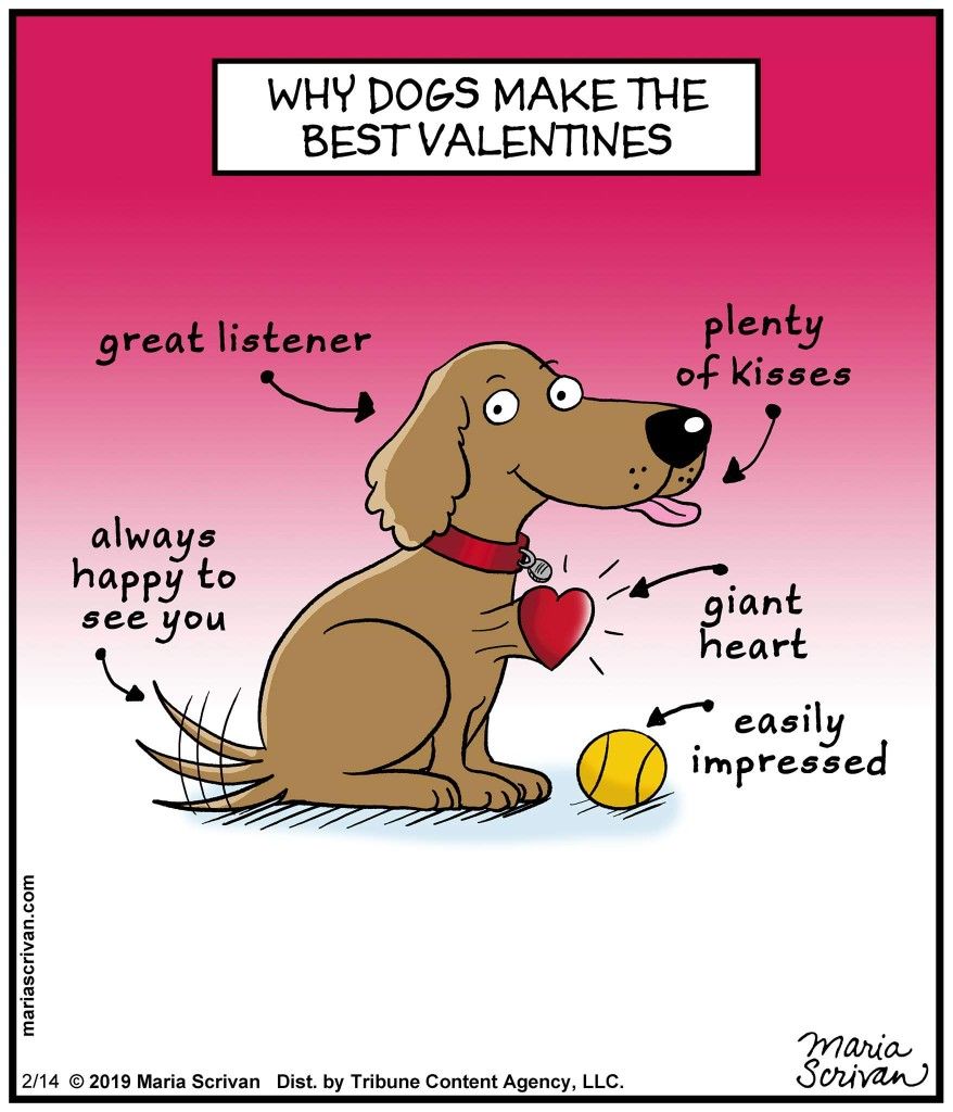 Pin by Nathan Lunt on Must Love Dogs Dog comics