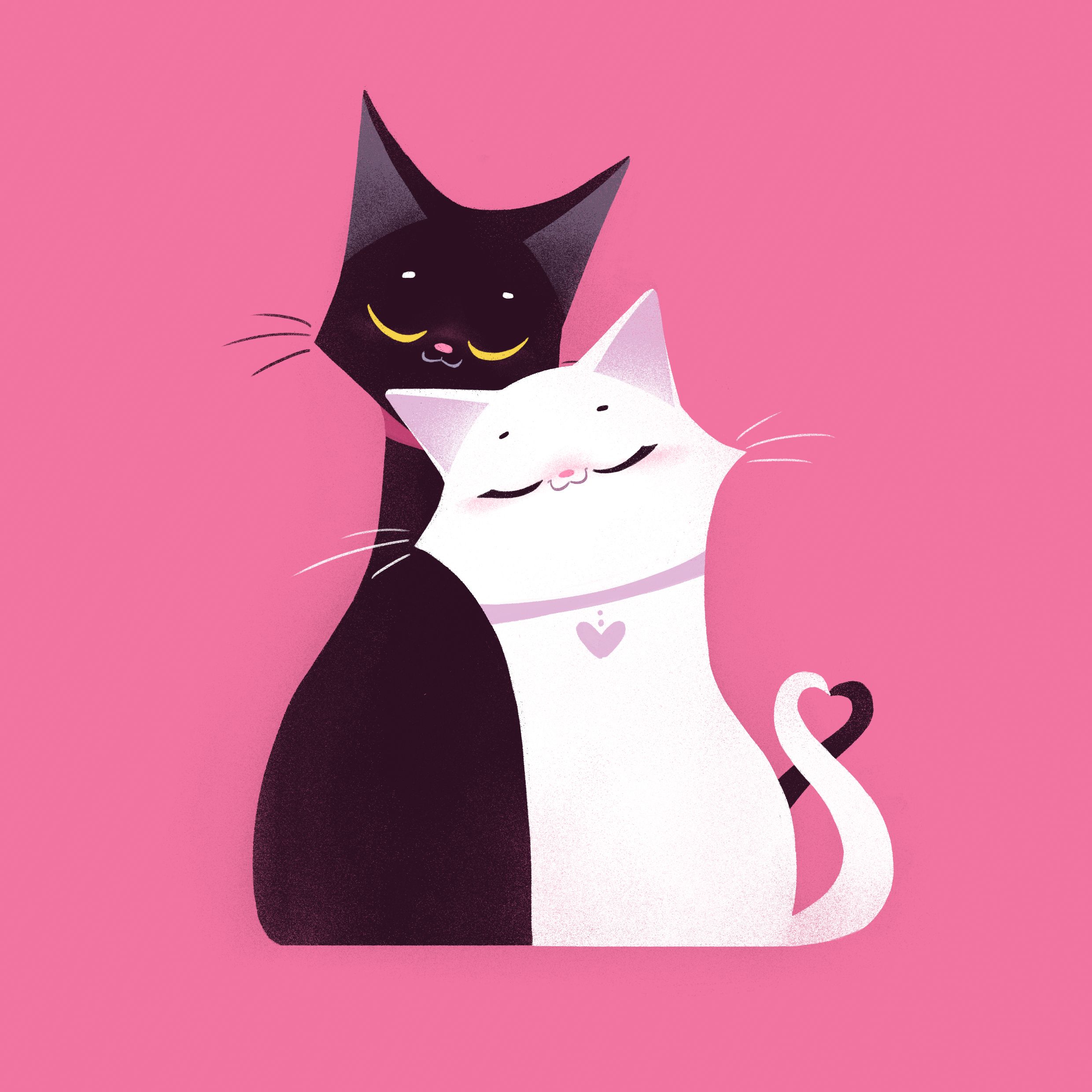 Cat Love on Behance Cat illustration, Cat love, Cats