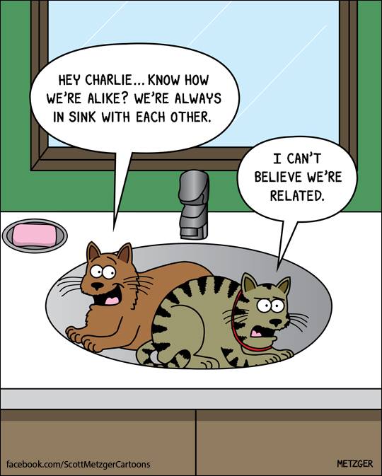 26 adorably funny cat cartoons that will get you through