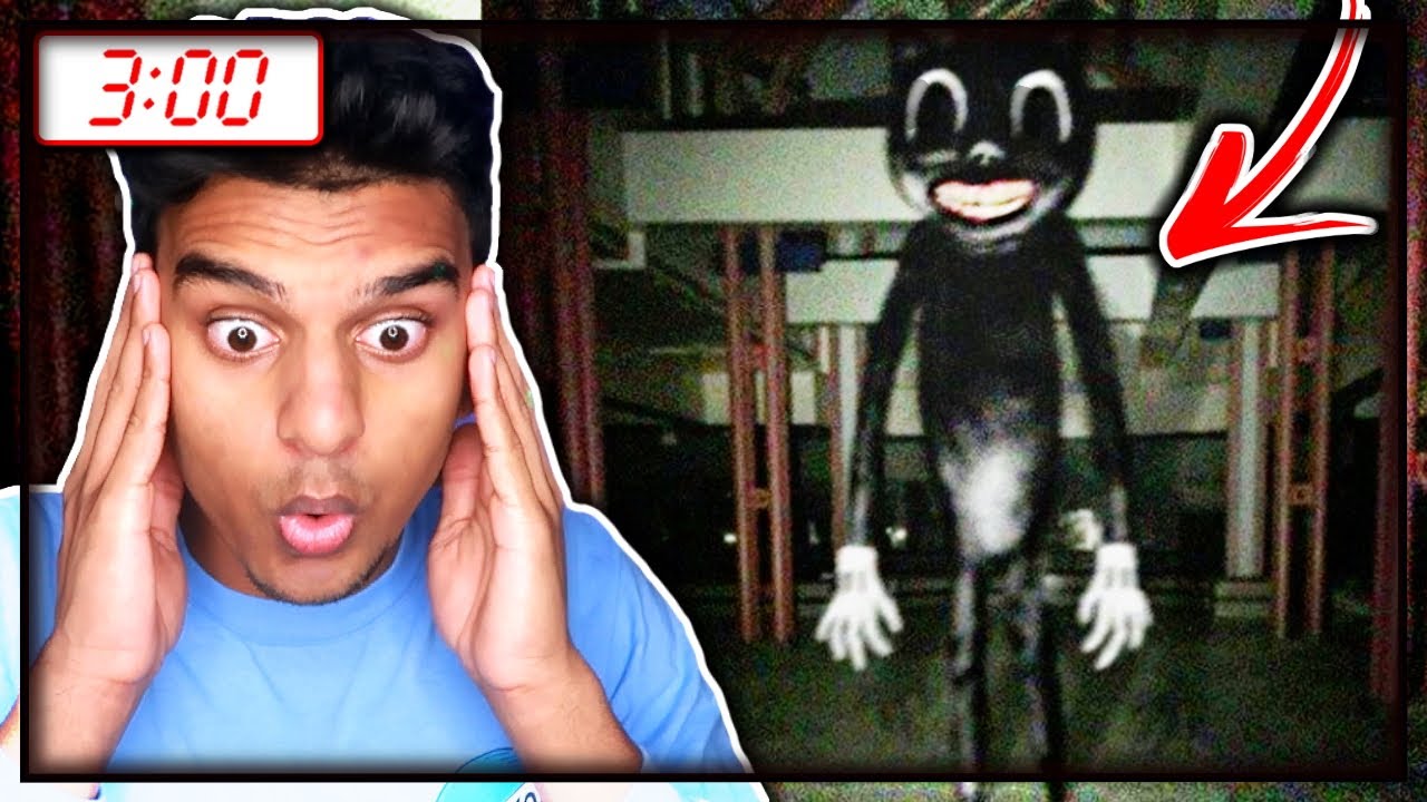 DO NOT WATCH THE CARTOON CAT MOVIE AT 3AM!! *SCARY* YouTube
