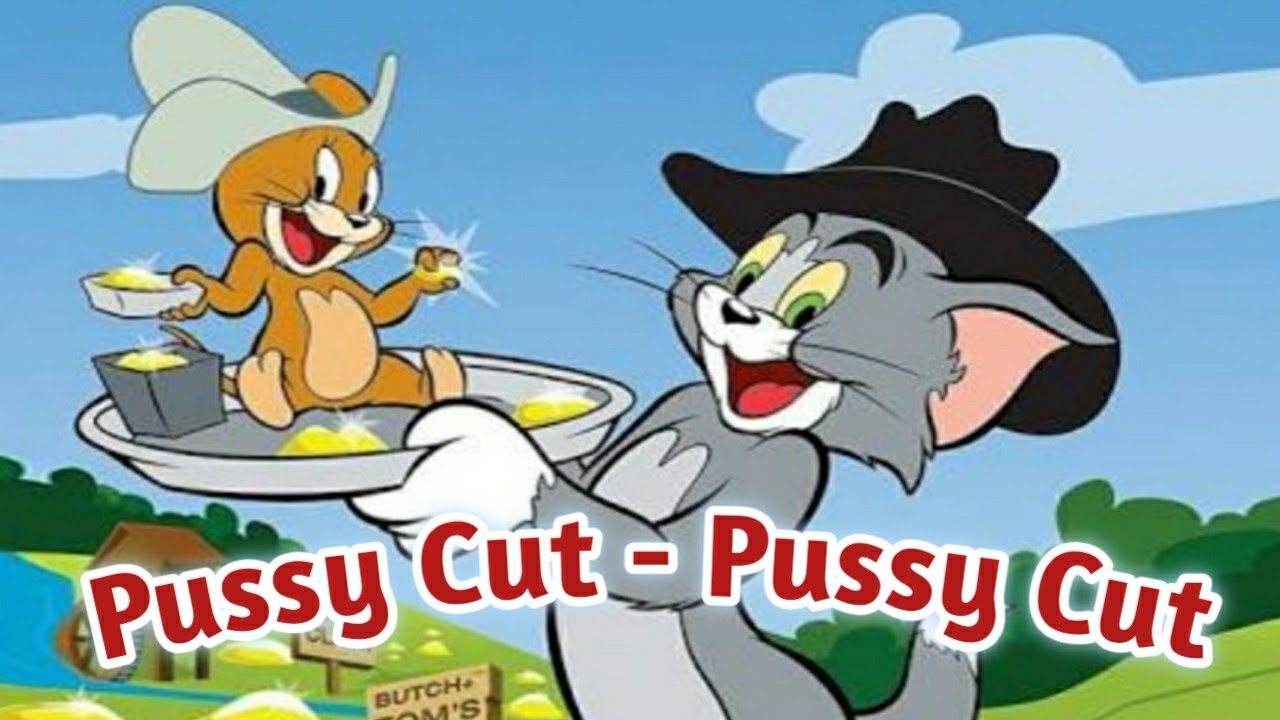 Pussy catcartoon education for childrenkids learning