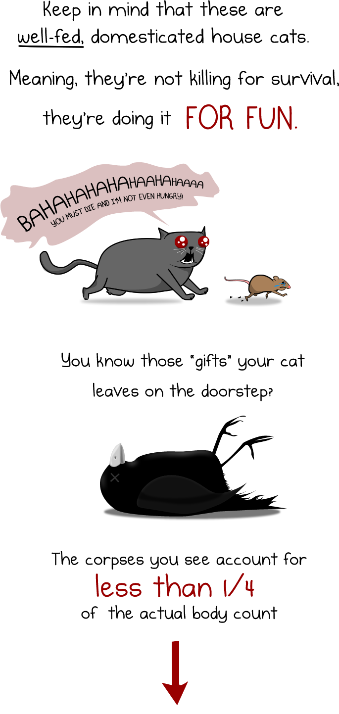 How much do cats actually kill? [Infographic] The Oatmeal