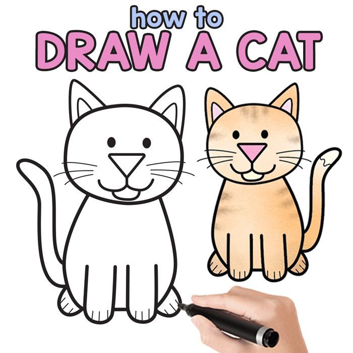 How to Draw a Cat Step by Step Cat Drawing Instructions