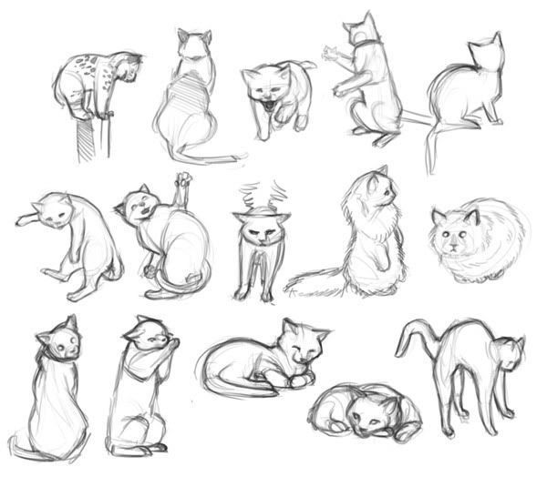 cats Google search Drawing cats Drawing Google 
