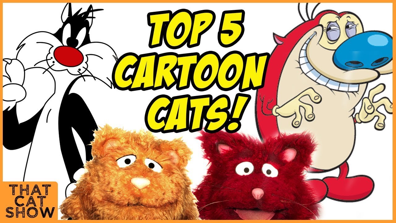 Cartoon Cats Top 5 Cat Videos That Cat Show YouTube