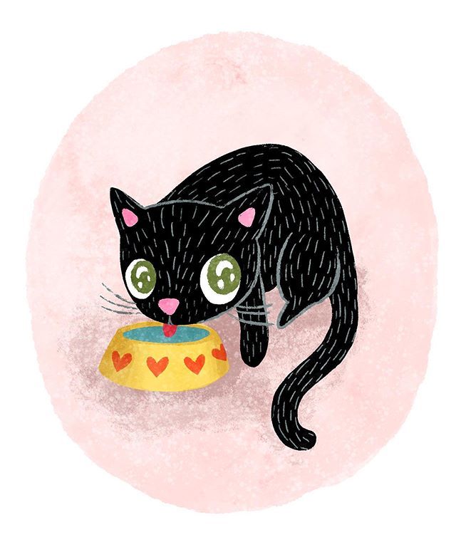 Cat drinking water illustration, by Michelle Cavigliano