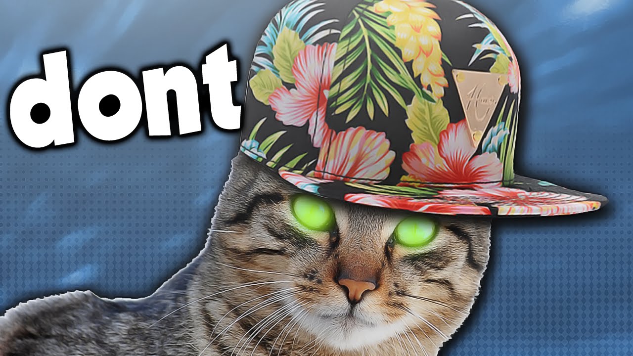 floral hats n cats. Whos Chaos YouTube