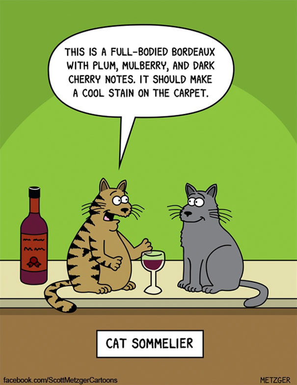 The Best 40 Cat Cartoons You Could Ever Find TWBLOWMYMIND