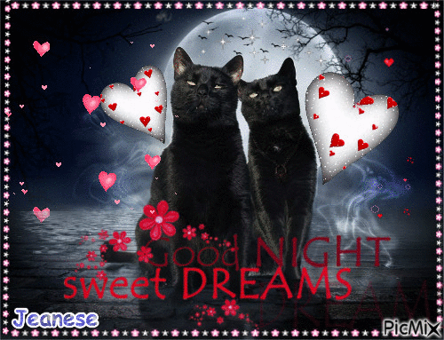 Love Cat Good Night Quote Gif Pictures, Photos, and Images