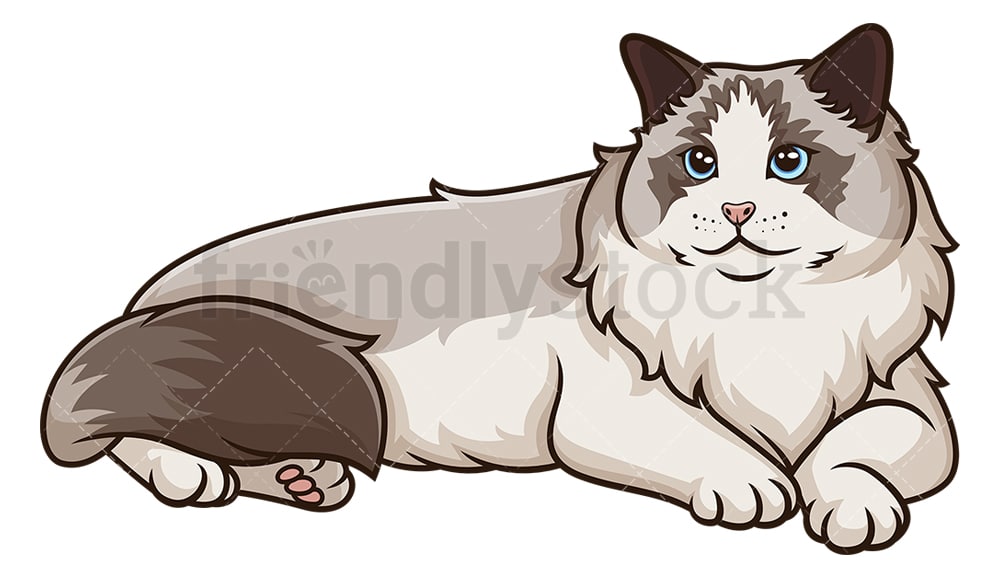 Ragdoll Cat Lying Down Cartoon Clipart Vector FriendlyStock
