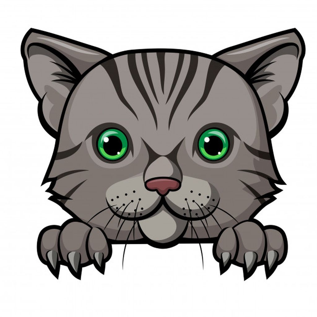 Cute cat head cartoon mascot design paid, , SPONSORED, 
