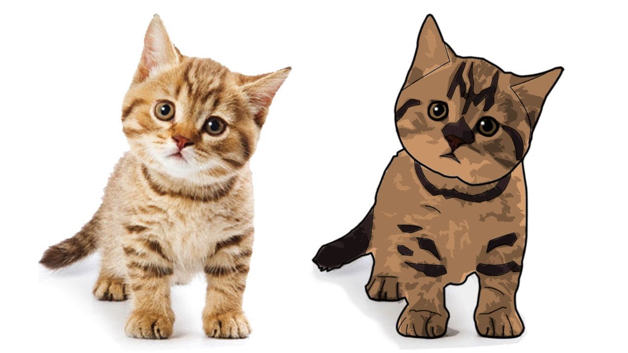 Cartoon Effect on cat Portrait Filter Effect on cat