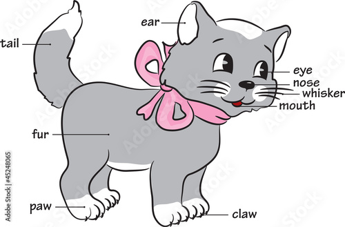 "A cute cartoon cat.Vocabulary of body parts." Stock image