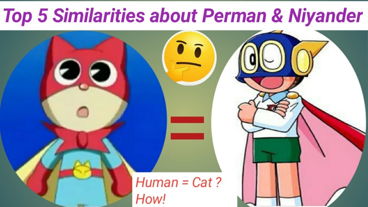 Perman Top 5 Similarities about Perman & Niyander Cat