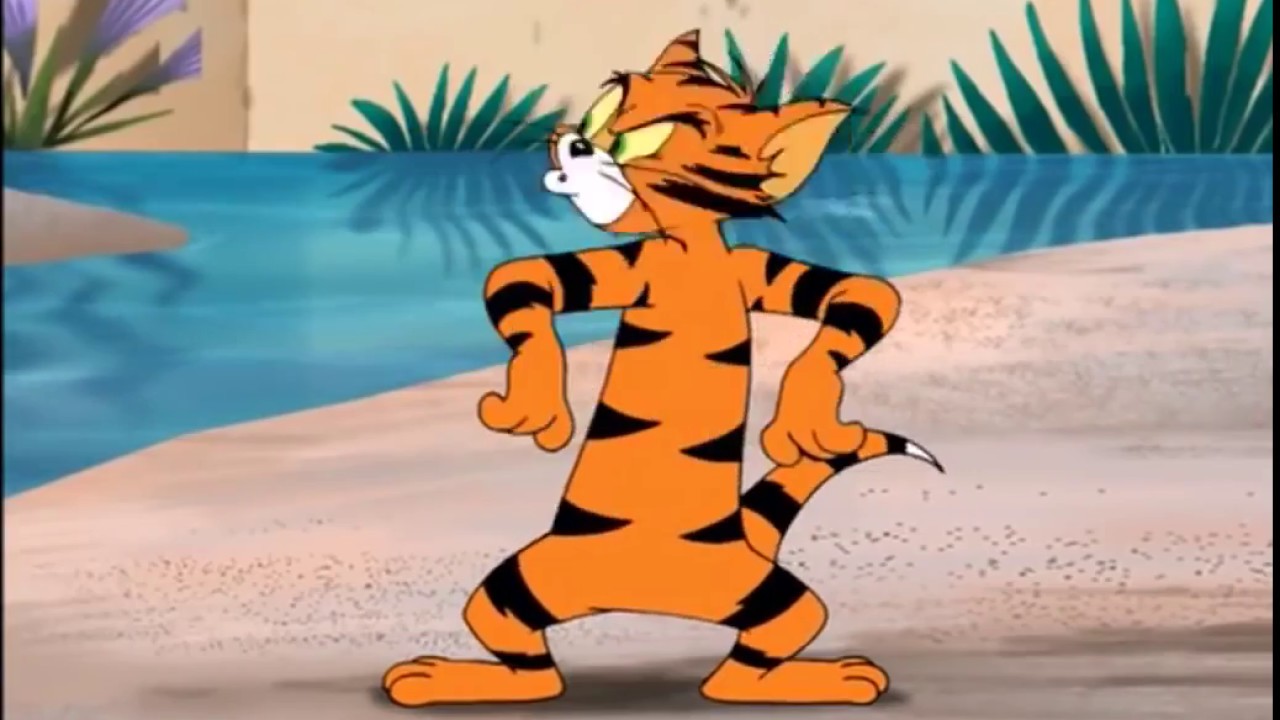 Tom and Jerry Tiger Cat Episode 2006 YouTube