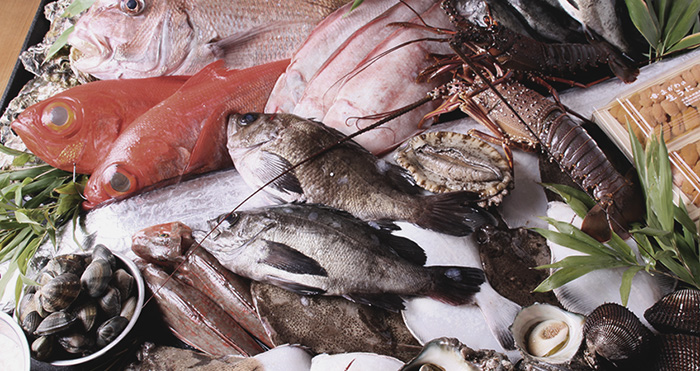 Attention Seafood Importers New SIMP Regulations