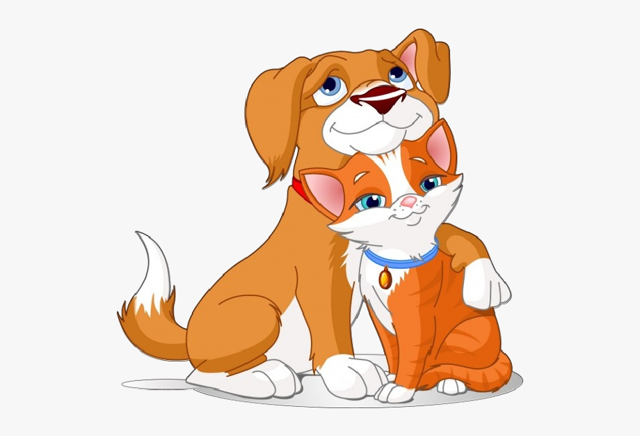 Cartoon Pictures Of Dogs And Cats Animated Dog And Cat