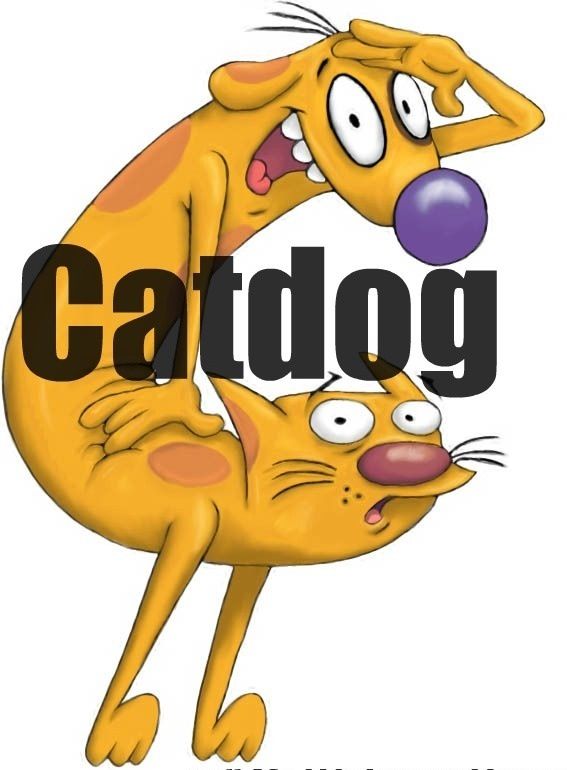 CatDog Old kids shows, Kids memories, Early 2000s cartoons