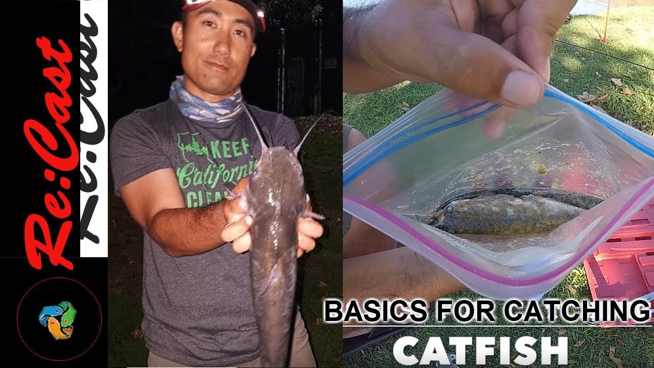 Basics on How to Catch Catfish 101 ReCastFishing YouTube