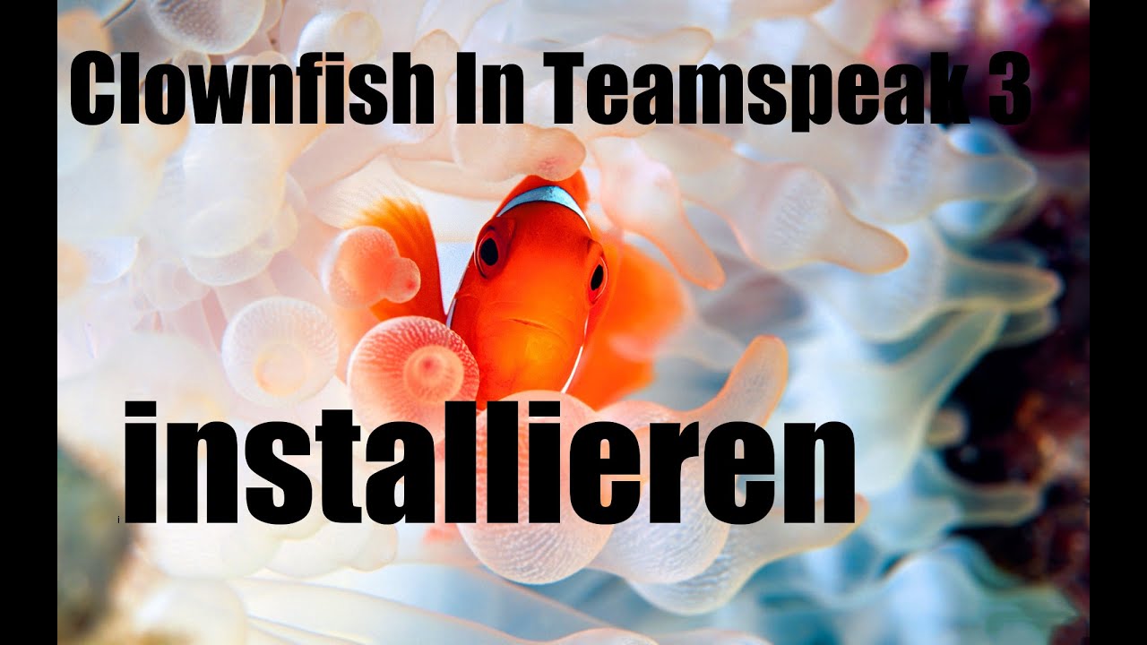 Clownfish Teamspeak 3 voice changer installieren (Tutorial