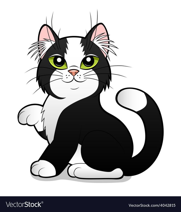 Cartoon black and white cat on the white background