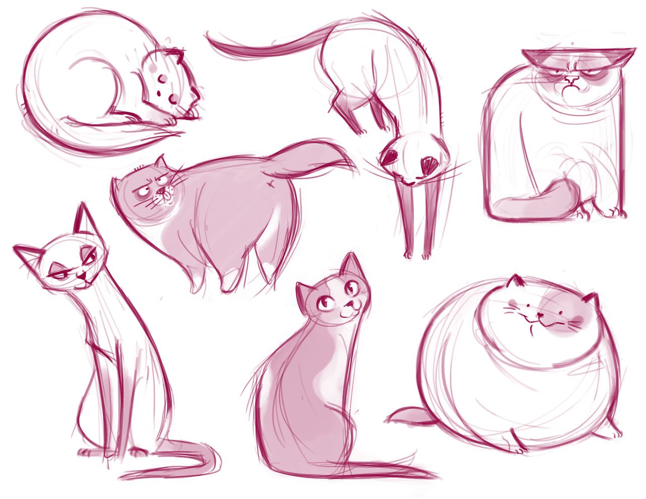 Daily Cat Drawings Your daily cat illustration fix