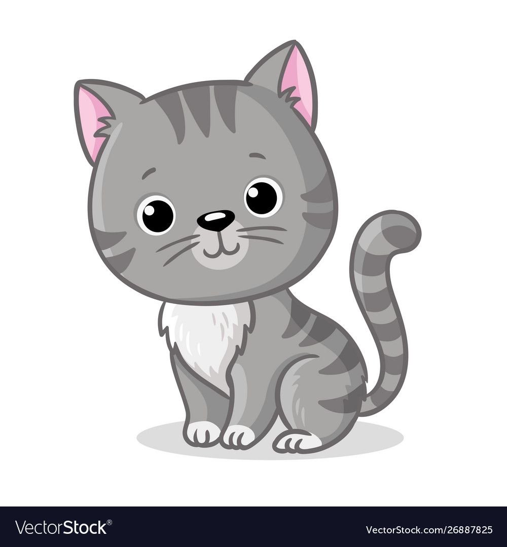 Gray kitten sitting on a white background cute vector
