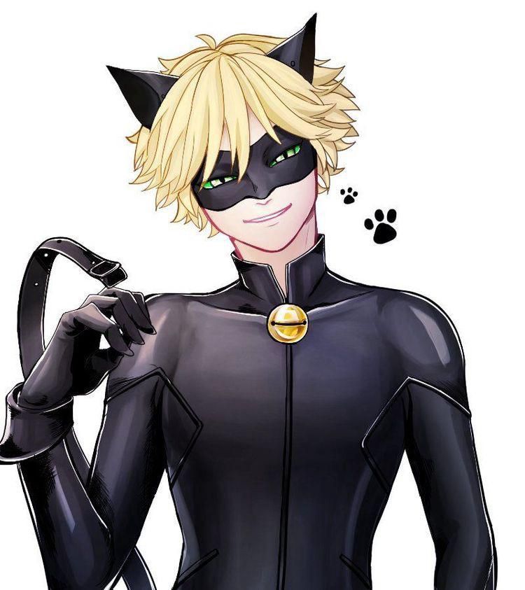 Pin by Unicorn queen on Miraculous Ladybug in 2020
