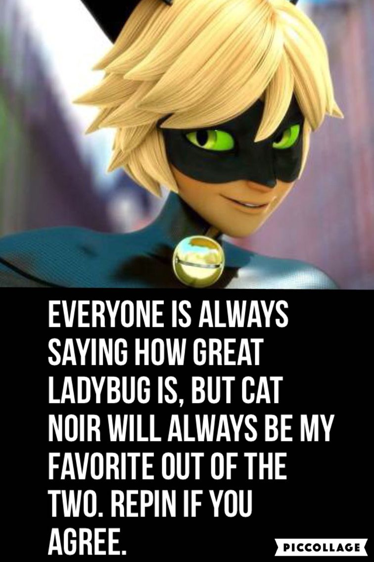 Go Cat Noir! Miraculous ladybug memes, Miraculous