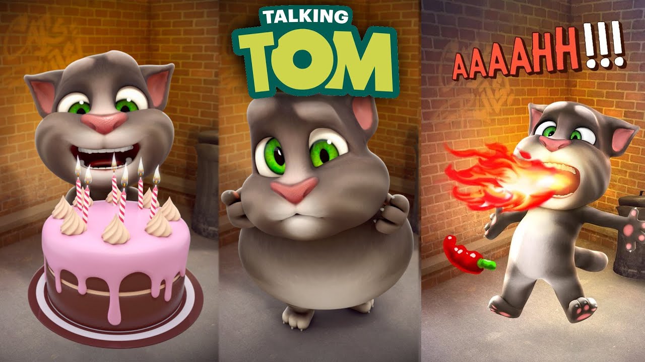 Talking Tom Cat App EVERY New Animation YouTube