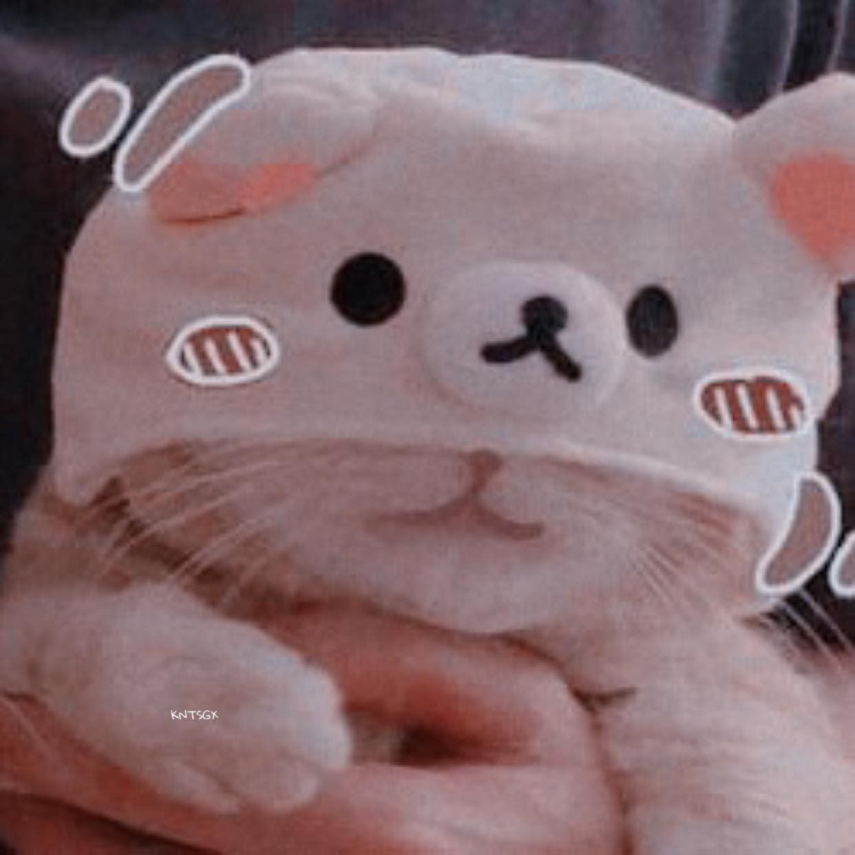 Pin by Kaileevelyn on Kawaii in 2021 Cat icon, Anime