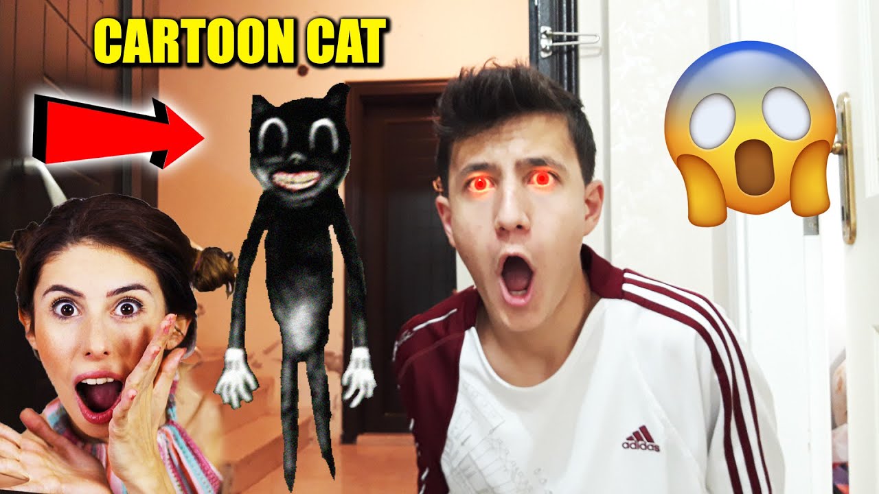CARTOON CAT EVİME GELDİ !! ( DİLA KENT YARDIM ET ) YouTube