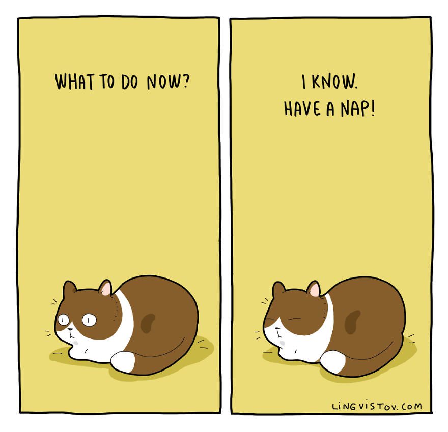 Artist Shows What’s Like To Live With A Cat In 18 Comics