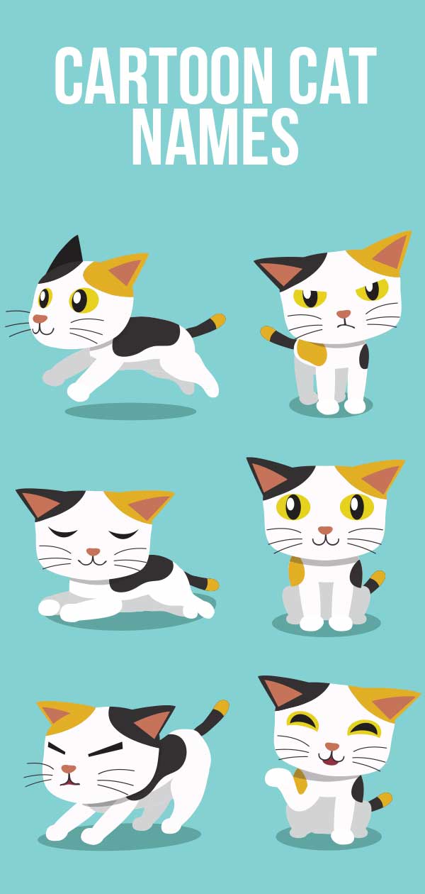 Cartoon Cat Names Which Ones Do You Like the Sound Of?