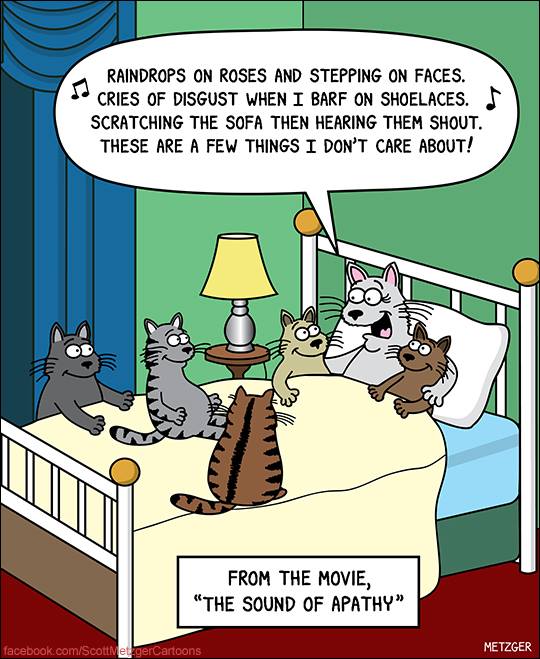 Mystery Fanfare Cartoon of the Day Cats