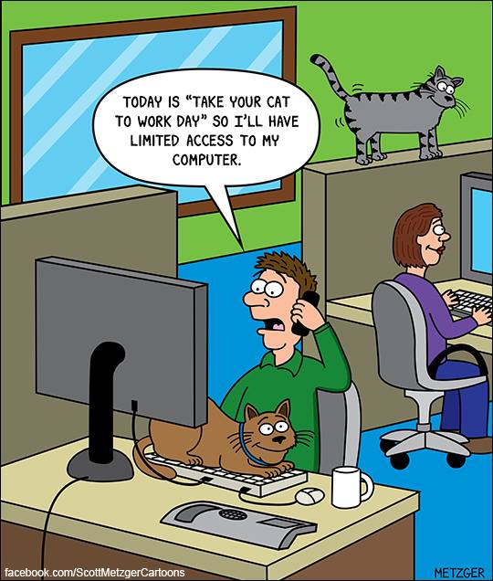 Mystery Fanfare Cartoon of the Day Take your Cat to Work Day