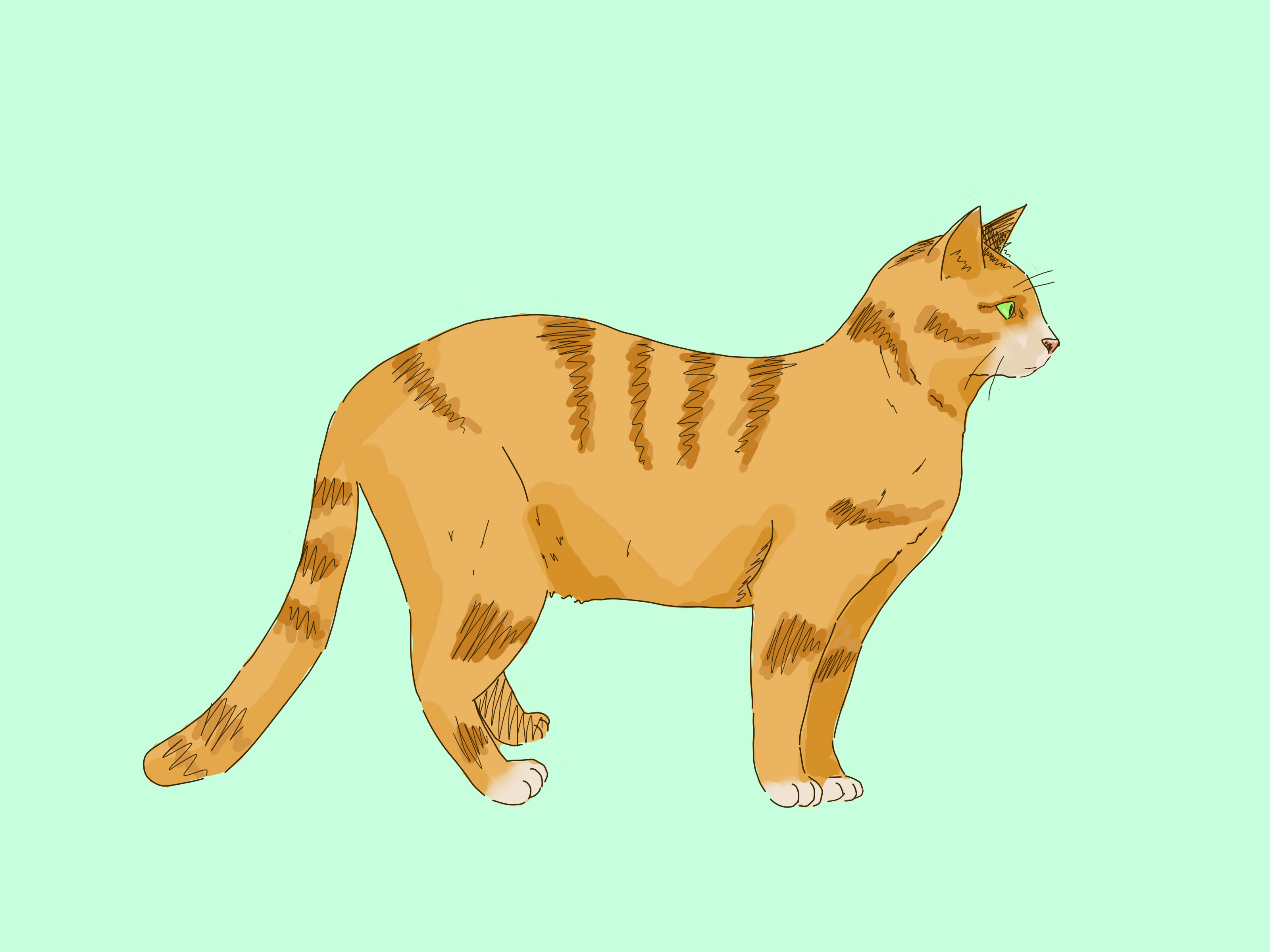 4 manières de dessiner un chat wikiHow