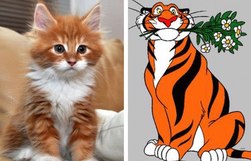 10 Cats That Look Just Like Disney Characters