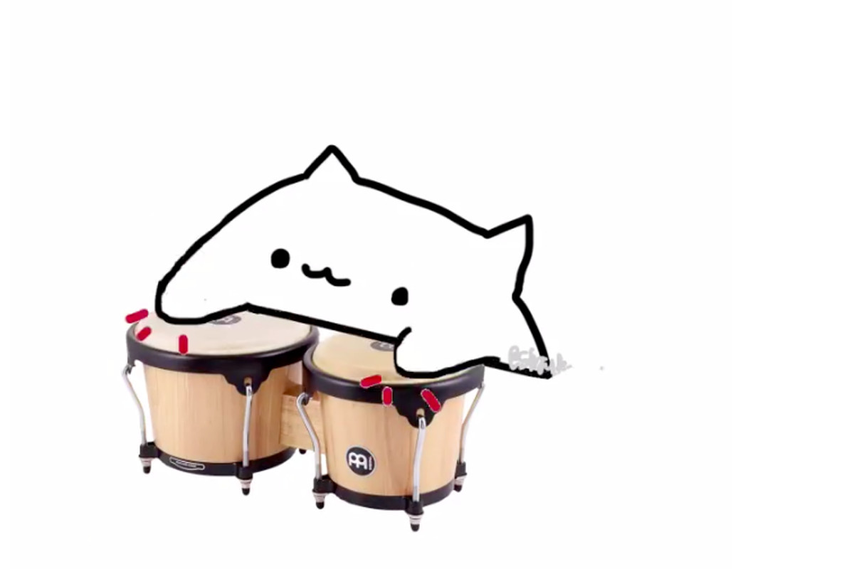 All hail bongo cat The Verge