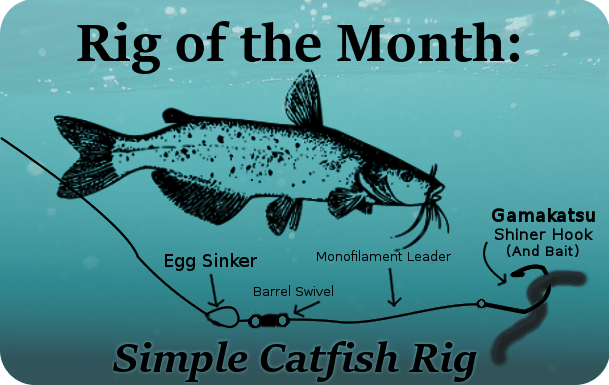 Rig of the Month A simple Catfishing setup!