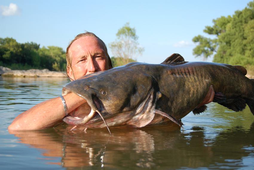 Day 18 Noodling for Catfish Now Legal in Texas The