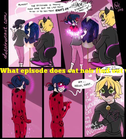 What episode does cat noir find out who ladybug is