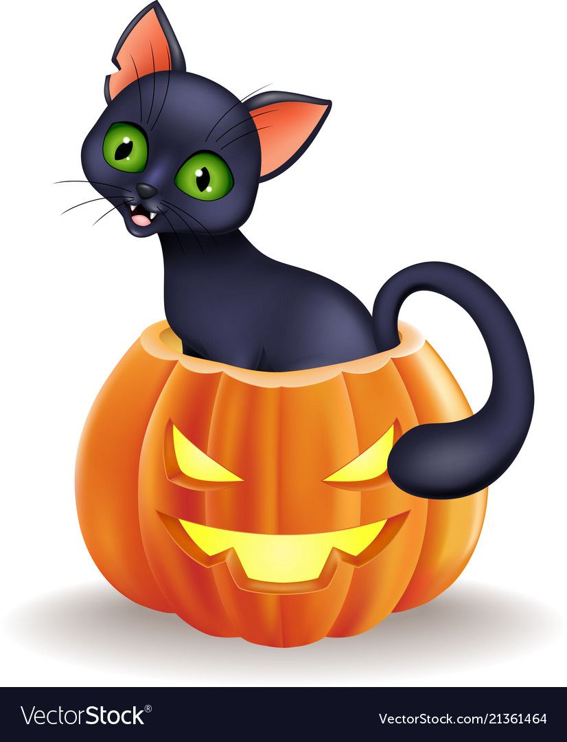 Cartoon black cat sitting in halloween pumpkin vector