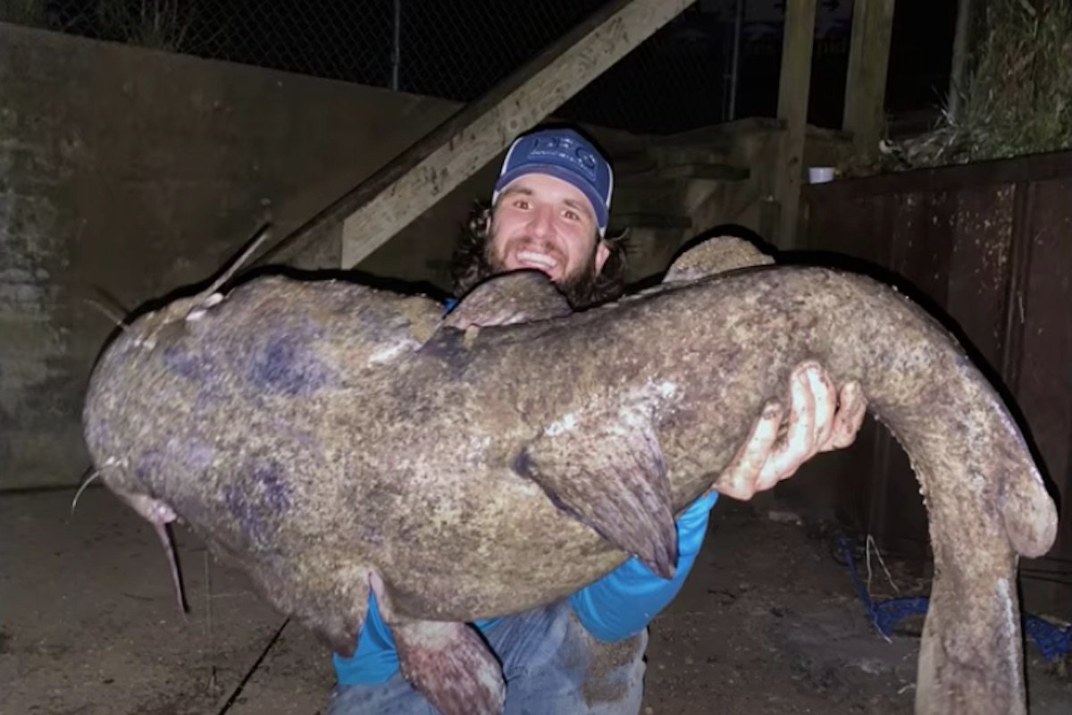 All the Kinds of Freshwater Catfish You Can Catch in