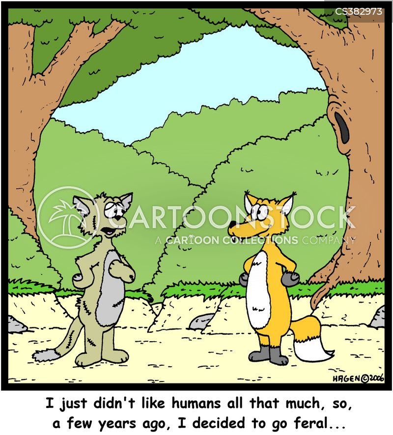 Wild Cats Cartoons and Comics funny pictures from