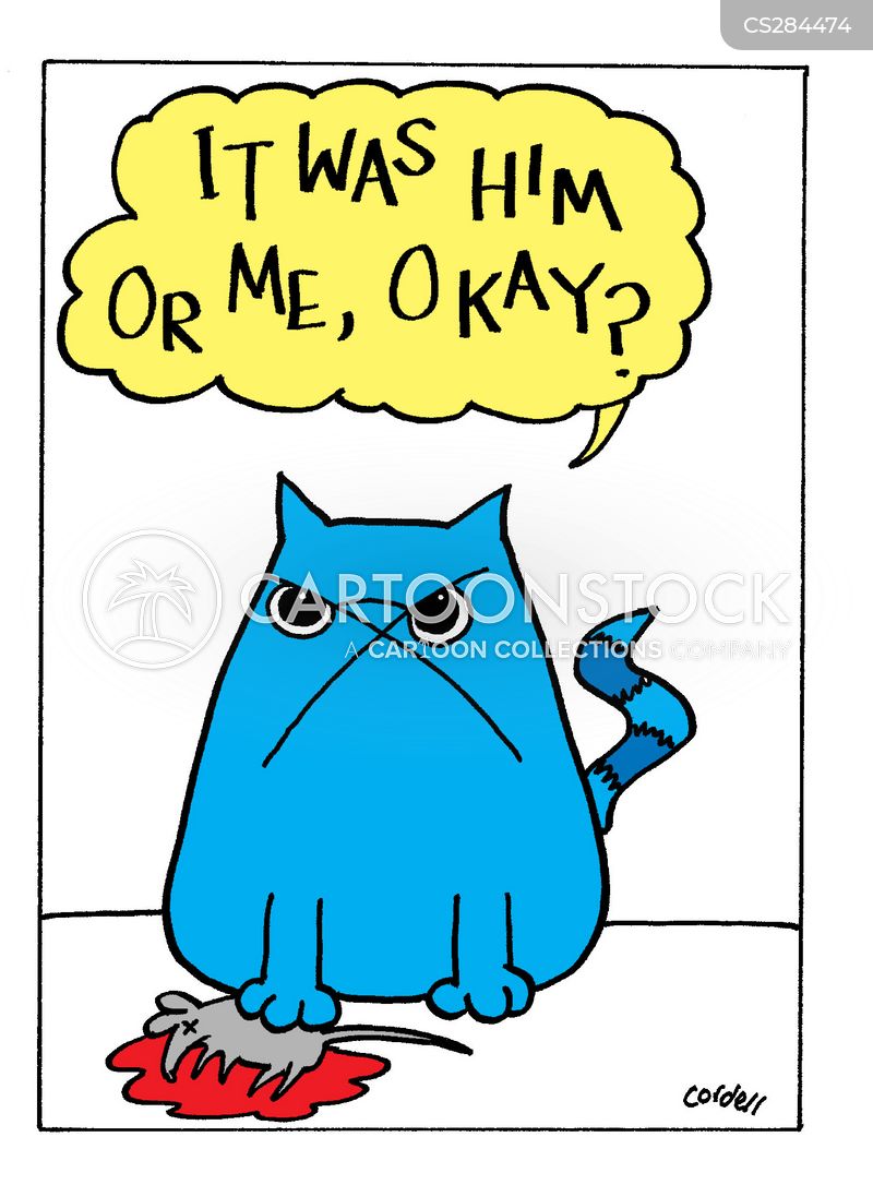 Angry Cat Cartoons and Comics funny pictures from