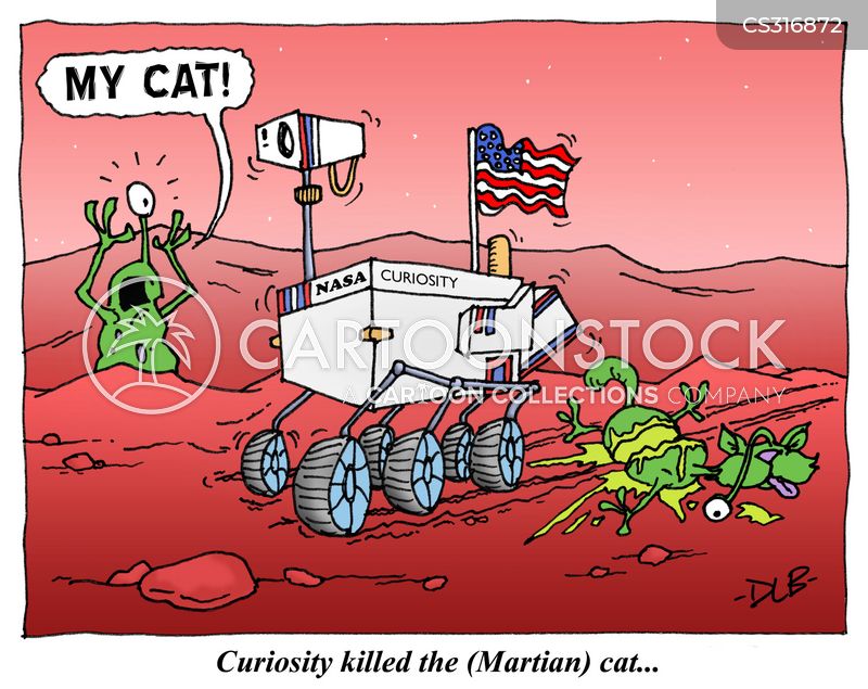 Curiosity Killed The Cat Cartoons and Comics funny