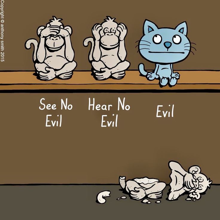 Pin by David Mettler on LOL Cats Evil cat, Funny cats
